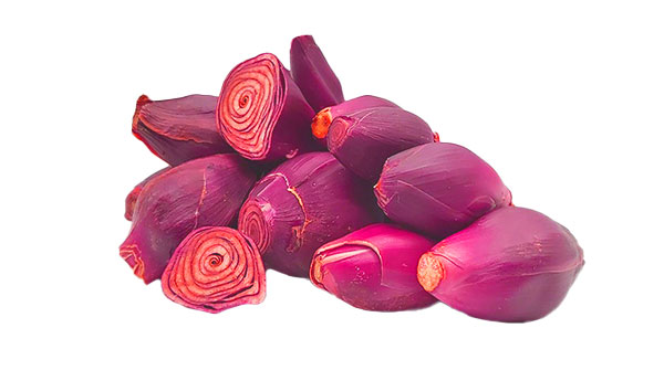 Sâm Đại Hành 100mg (Eleutherine Bulbosa)