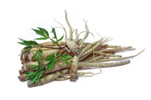 Đương Quy (Angelica Sinensis)