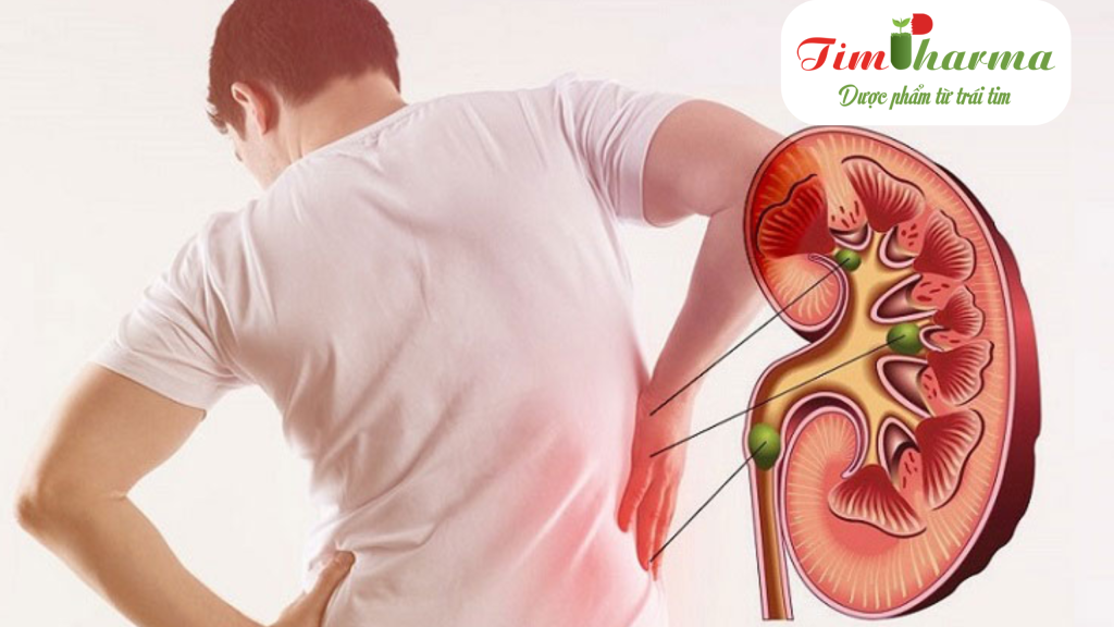 Thận hư - các chẩn đoán nhận biết và 6 biến chứng thường gặp